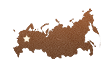 bg icon service2